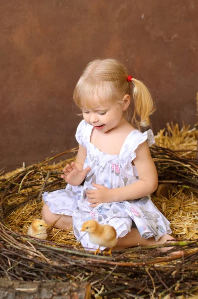 Ragazza Bionda Con Polli Nel Fienile Nido Nella Pasqua Cattolica — Foto Stock