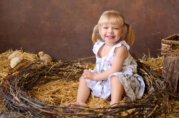 Ragazza Bionda Con Polli Nel Fienile Nido Nella Pasqua Cattolica — Foto Stock