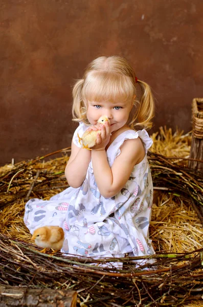 Ragazza Bionda Con Polli Nel Fienile Nido Nella Pasqua Cattolica — Foto Stock