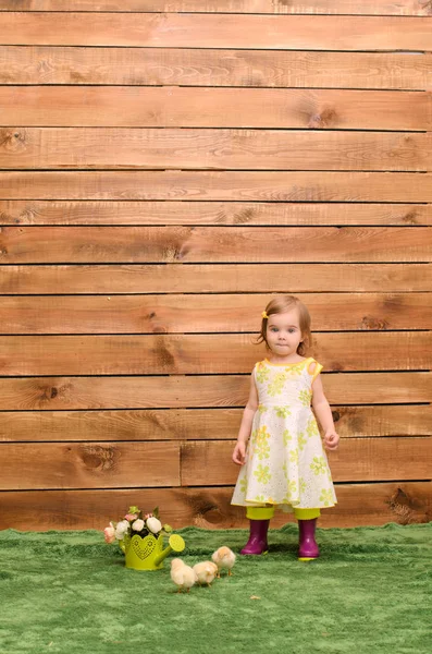 Little Girl Standing Rubber Boots Grass Next Chicken Watering Can — Stock Photo, Image