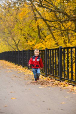  Kırmızı ceketli ve kot pantolonlu çocuk, sonbahar parkında, sarı yapraklı köprüde koşuyor.