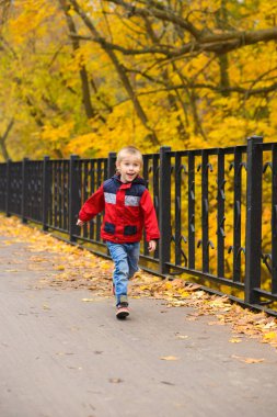 Kırmızı ceketli ve kot pantolonlu çocuk, sonbahar parkında, sarı yapraklı köprüde koşuyor.
