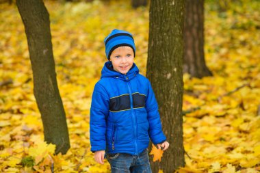 Sarı akçaağaç yaprakları sonbahar parkında mavi ceketli çocuğun üzerine düşer.