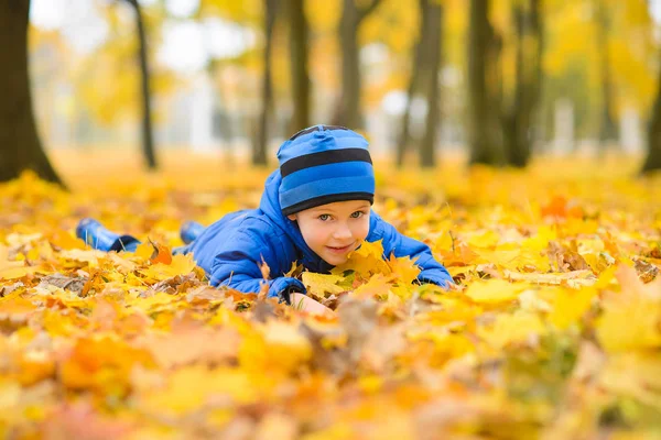 Pojke Blå Jacka Och Hatt Kratta Arm Full Gula Lönnlöv — Stockfoto