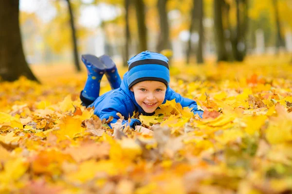 Junge Blauer Jacke Und Hut Harkt Einen Arm Gelber Ahornblätter — Stockfoto