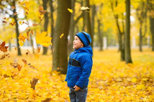 Gelbe Ahornblätter Fallen Auf Jungen Blauer Jacke Einem Herbstpark — Stockfoto