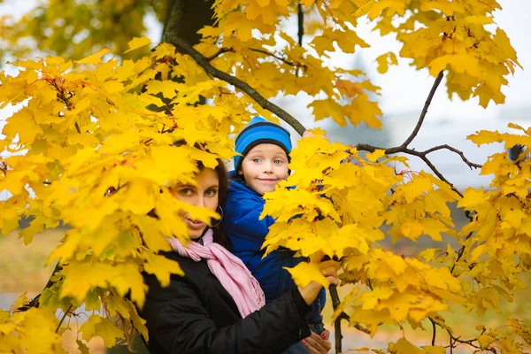 Happy Mom Son Play Hide Autumn Maple Tree Foliage —  Fotos de Stock
