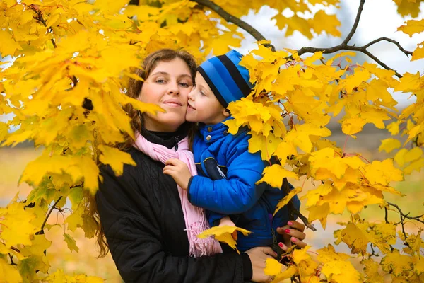 Liten Pojke Kysser Mamma Gul Lönn Höst Löv Träd — Stockfoto