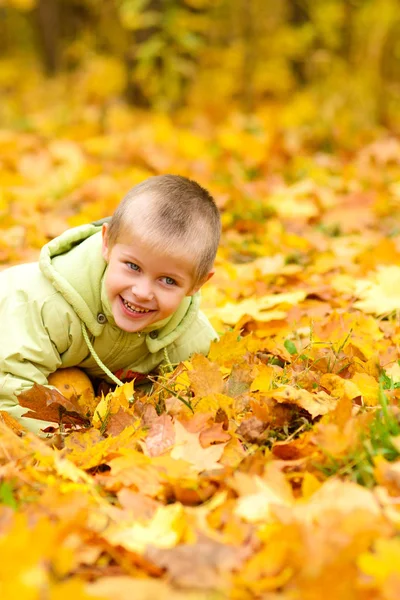 Chico Sonriente Chaqueta Encuentra Otoño Hojas Amarillas Caídas Con Calabazas —  Fotos de Stock