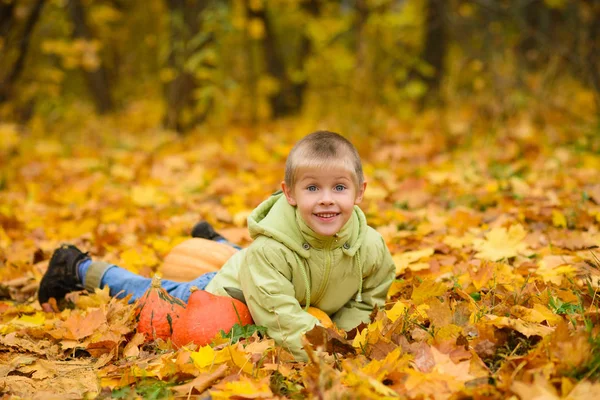 穿着夹克的笑脸男孩躺在秋天黄色落叶中 公园里有南瓜 — 图库照片