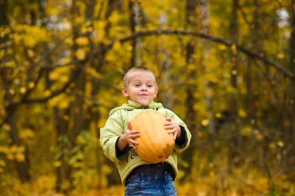 Lachender Junge Jacke Herbstpark Mit Großem Orangefarbenen Kürbis — Stockfoto