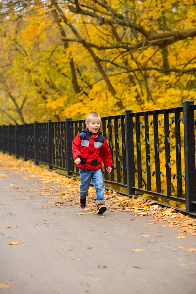 Pojke Röd Jacka Och Jeans Löper Över Bron Som Höstparken — Stockfoto