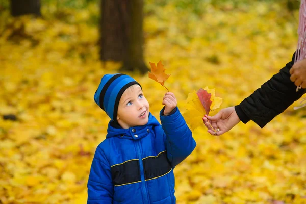 Kleine Junge Mutter Reicht Ahornblätter Für Spaziergang Herbst Park Mit — Stockfoto