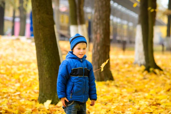 Sarı Akçaağaç Yaprakları Sonbahar Parkında Mavi Ceketli Çocuğun Üzerine Düşer — Stok fotoğraf