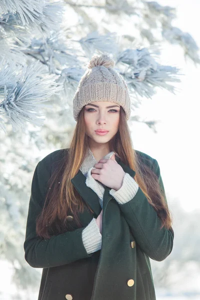 Piękne zimowe portret młodej kobiety w snowy dekoracje — Zdjęcie stockowe