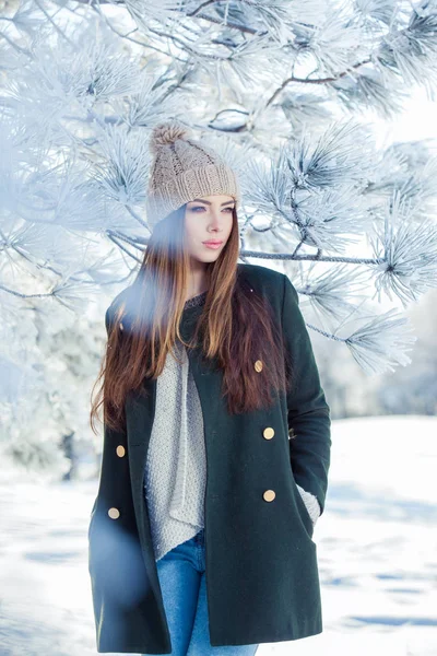 Krásné zimní portrét mladé ženy v zasněžené krajině — Stock fotografie