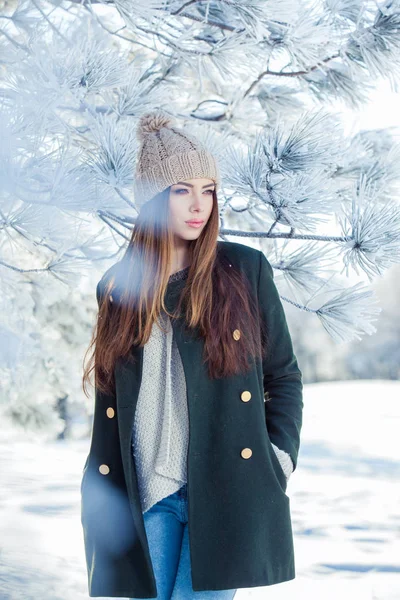 Vackra vinter porträtt av ung kvinna i den snöiga landskapet — Stockfoto