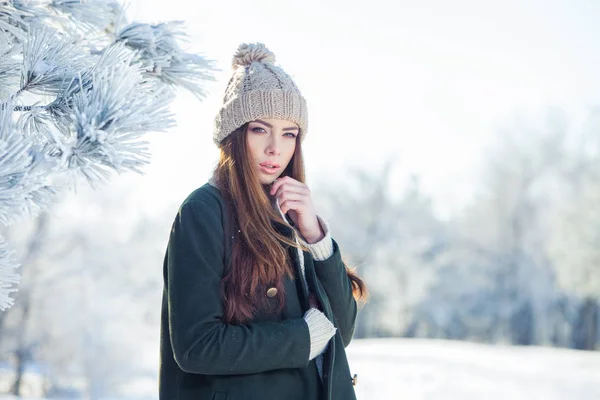 Bellissimo ritratto invernale di giovane donna nel paesaggio innevato — Foto Stock
