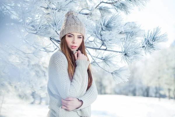 Schönes Winterporträt einer jungen Frau in der verschneiten Landschaft lizenzfreie Stockfotos