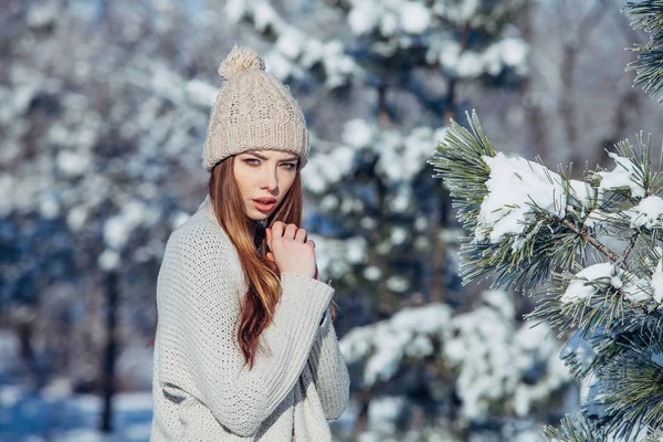 Beautiful winter portrait of young woman in the snowy scenery — Stock Photo, Image