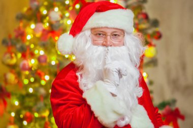 Portre Noel Baba köpüklü firtree arka plan üzerinde