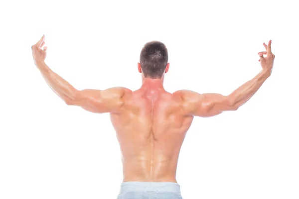 Powerful back. Strong Athletic Man - Fitness Model showing his perfect body isolated on white background with copyspace. Bodybuilder man with perfect abs, shoulders,biceps, triceps and chest. — Stock Photo, Image