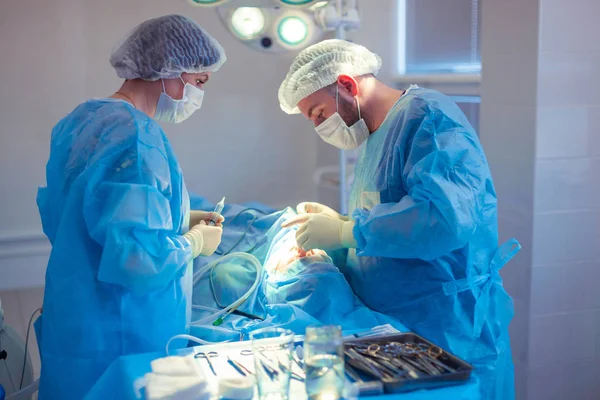 Medical Team Performing Surgical Operation in Modern Operating Room. Rhinoplasty — Stock Photo, Image