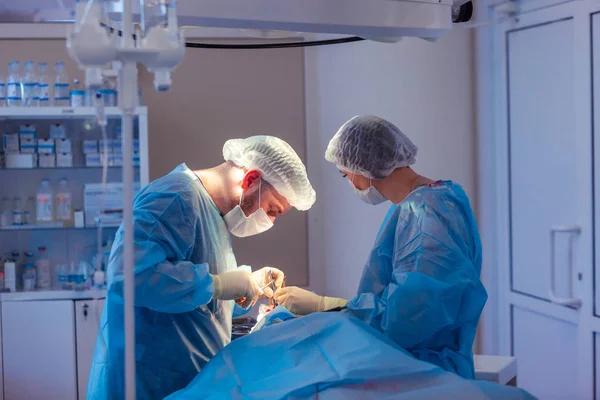 Zespół medyczny wykonujący operację chirurgiczną w nowoczesnym pomieszczeniu operacyjnym. Korekcja — Zdjęcie stockowe