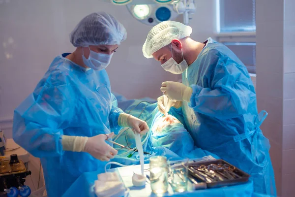 Equipo Médico Realizando Operación Quirúrgica en Sala de Operaciones Moderna. Rinoplastia —  Fotos de Stock