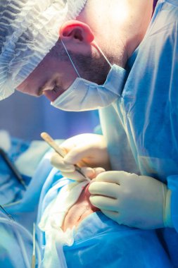 Cerrah ve hastane ameliyathane burnuna estetik ameliyat asistanı. Burnun yeniden şekillendirilmesi, büyütme. Burun estetiği.