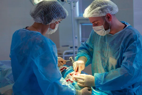 Equipo Médico Realizando Operación Quirúrgica en Sala de Operaciones Moderna. Rinoplastia —  Fotos de Stock