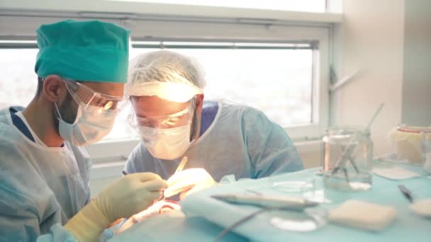 Kaalheid behandeling. Haartransplantatie. Chirurgen in de operatiekamer voeren haartransplantatiechirurgie uit. Chirurgische techniek die haarfollikels van een deel van het hoofd beweegt. — Stockvideo