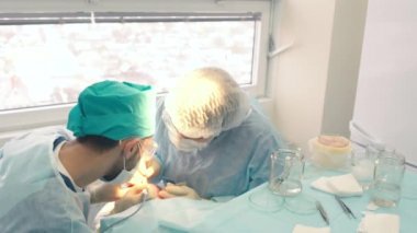 Kellik tedavisi. Saç ekimi. Ameliyathanedeki cerrahlar saç nakli ameliyatı gerçekleştirin. Saç köklerini başın bir kısmından hareket ettiren cerrahi teknik.