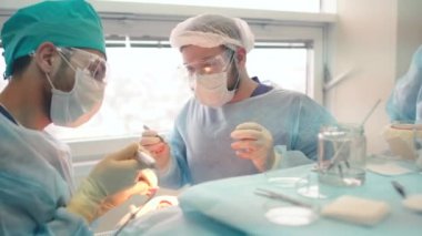 Kellik tedavisi. Saç ekimi. Ameliyathanedeki cerrahlar saç nakli ameliyatı gerçekleştirin. Saç köklerini başın bir kısmından hareket ettiren cerrahi teknik.