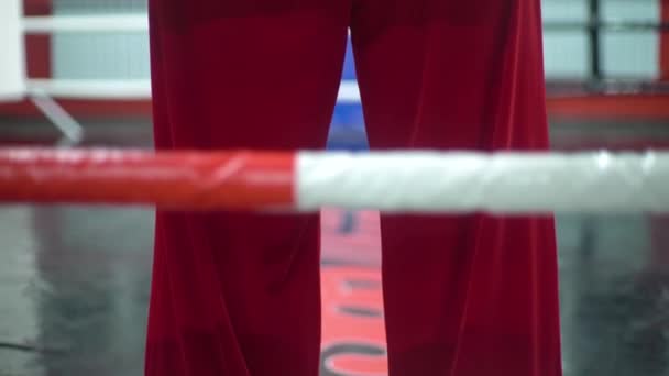 Kickbox Santa Claus Fighter z czerwonymi bandażami na ringu. Santa Claus bokser trening ciężko. — Wideo stockowe
