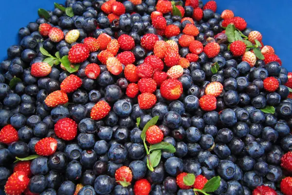 Wild berry. Blueberries and strawberries gathered in the forest close-up.