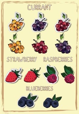 Elle çizilmiş çilek illüstrasyon stok