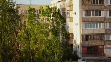 Rüzgardan sendeleyen yeşil ağaçlar 