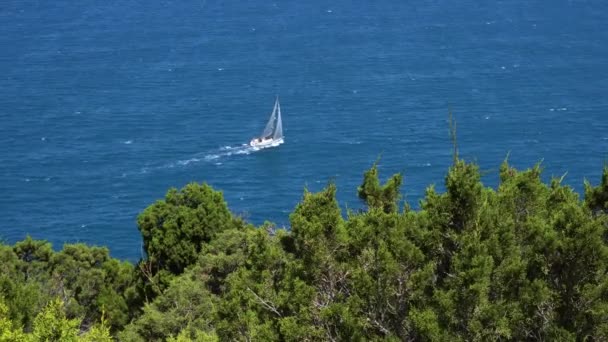 Zeilboot Zeilen Alleen Het Midden Van Zee Geduwd Door Wind — Stockvideo