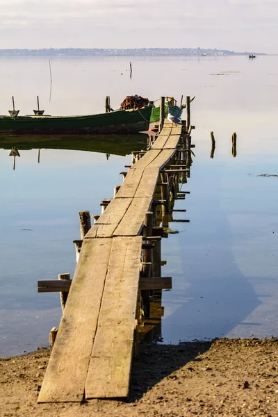 De meeuw wandelingen op de ligplaats wachten op de komst van de — Stockfoto