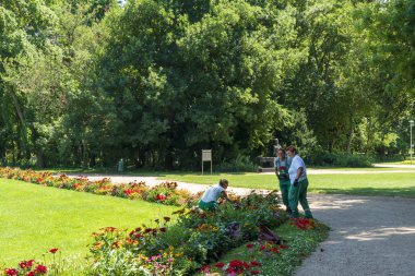 Tuna'daki Margaret Adası, Buda ve Pest arasında, bir q