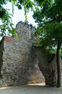 Tuna'daki Margaret Adası, Buda ve Pest arasında, bir q