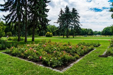 Tuna'daki Margaret Adası, Buda ve Pest arasında, bir q