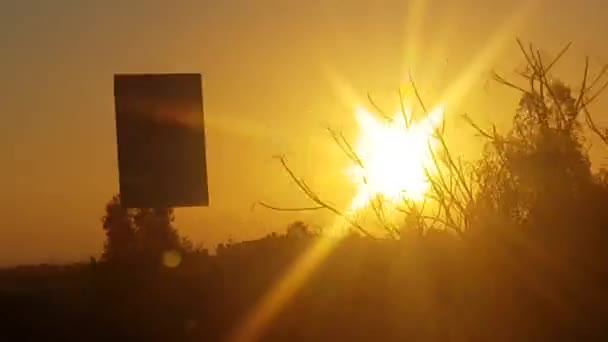 Рано Утром Дороге Вид Окна Поезда Восходящее Солнце Деревья Туман — стоковое видео