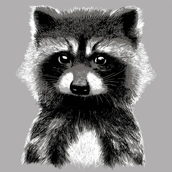 Cute Hand Drawing Raccoon Sketch Vector Monochrome Illustration — Stock Vector
