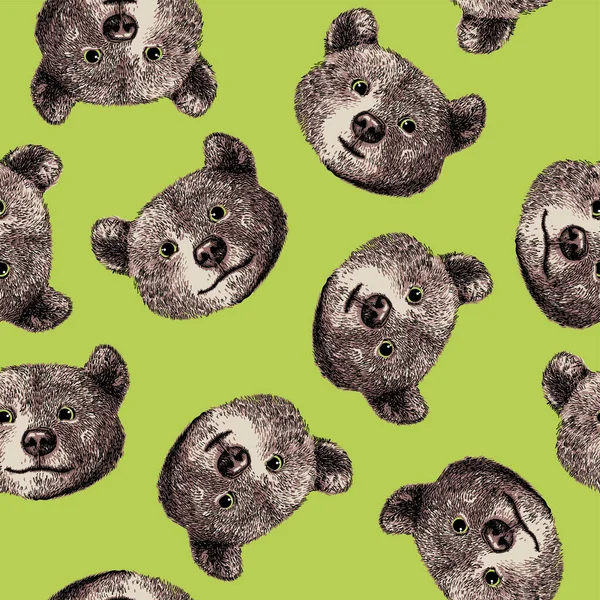 Söt Handritad Grizzlybrun Björnunge Ansikte Sömlös Vektor Illustration — Stock vektor