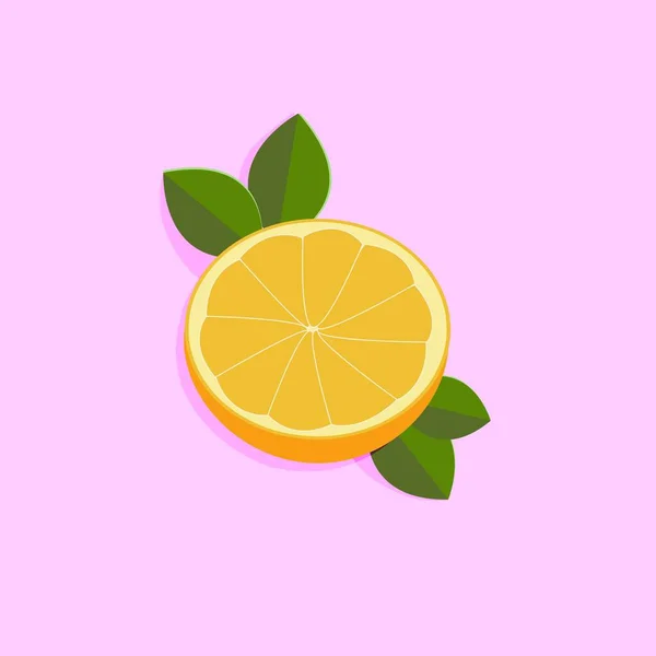 Trending laranjas hortelã folhas flatley, fundo rosa, minimalismo. Corte laranja, ótimo design para qualquer finalidade. — Vetor de Stock