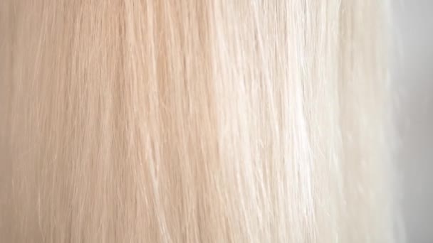 Close-up beautiful healthy long white hair. — Stock Video