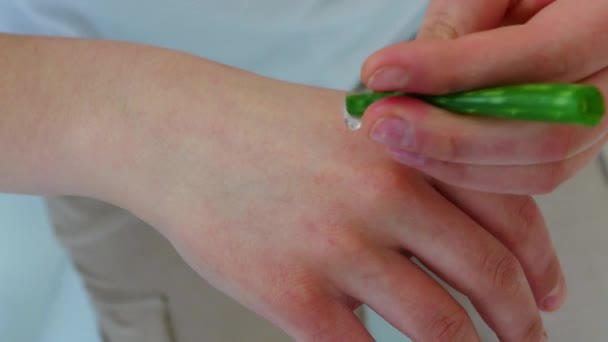 Kvinnlig hand håller aloe vera kaktus — Stockvideo