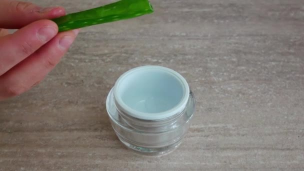 Close-up of Squeezing fresh aloe vera gel from leaf — Stock Video